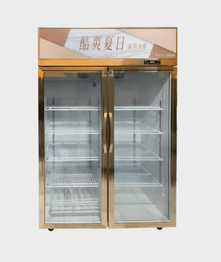 BWE Showcase Cooler Stainless Steel 2 Pintu (LC-1200F)
